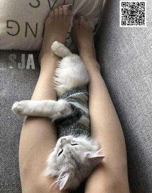 妻子的女儿_高清免费电视剧